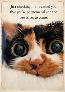 You're Phenomenal (Cat)