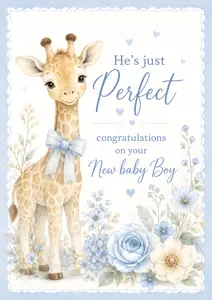 He's Just Perfect New Baby Boy