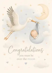 New Baby Boy Over The Moon Stork