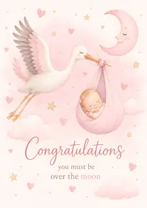 New Baby Girl Over The Moon Stork