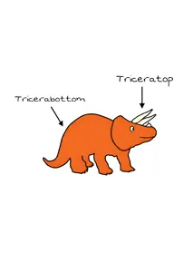 Triceratop / Tricerabottom